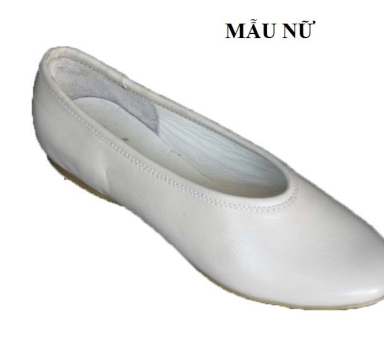 Giày Bal Nữ Văn Phòng